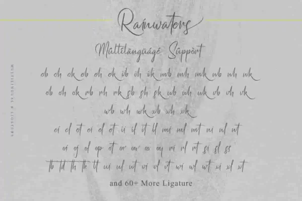 Rainwaters Handwriting Font - Image 6