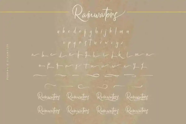 Rainwaters Handwriting Font - Image 8