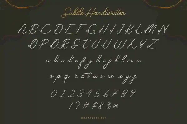 Subtle Handwritten Monoline Font - Image 9