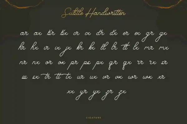 Subtle Handwritten Monoline Font - Image 7