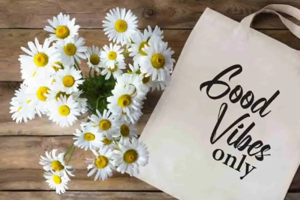 Tillamook Brush Font - Image 2