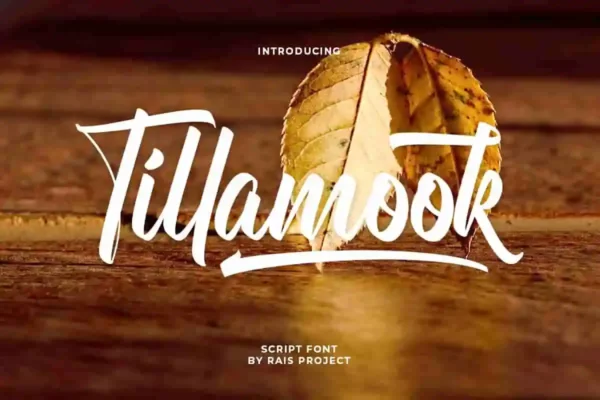 Tillamook Brush Font - Image 11