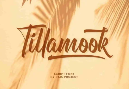 Tillamook Brush Font