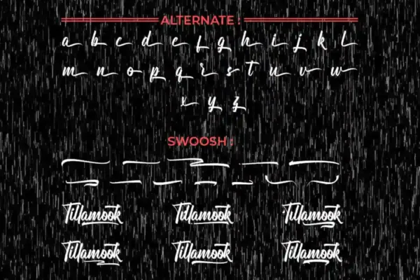 Tillamook Brush Font - Image 7