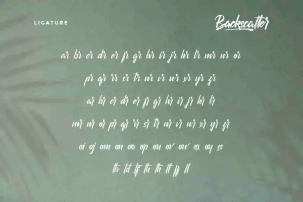 Backscatter Brush Font - Image 5