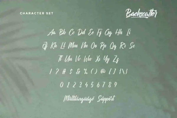 Backscatter Brush Font - Image 7