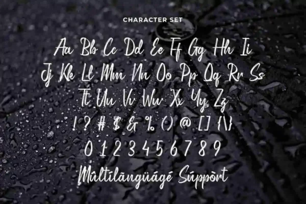 High Hill Brush Font - Image 8