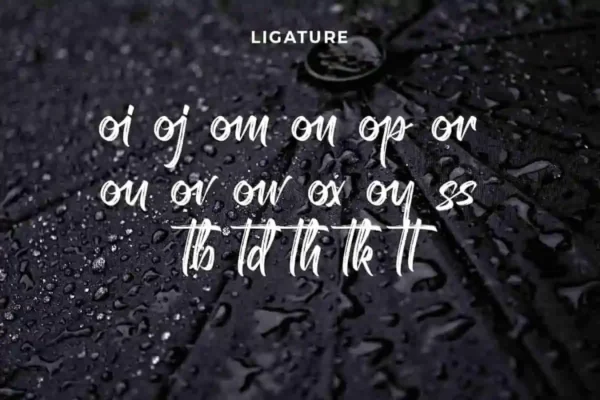 High Hill Brush Font - Image 7