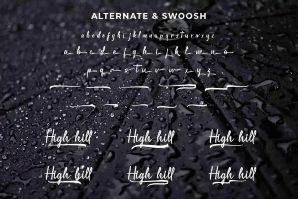 High Hill Brush Font - Image 5