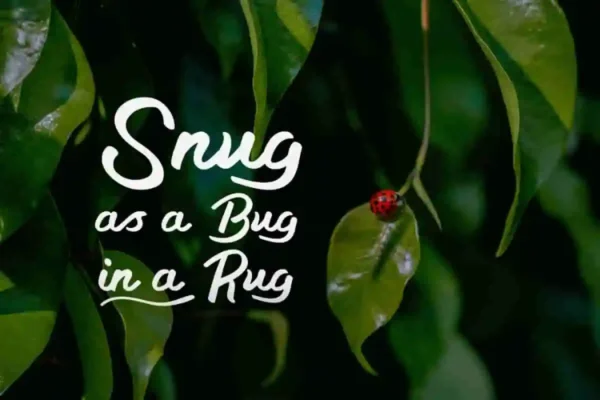 Little Change Brush Font - Image 4