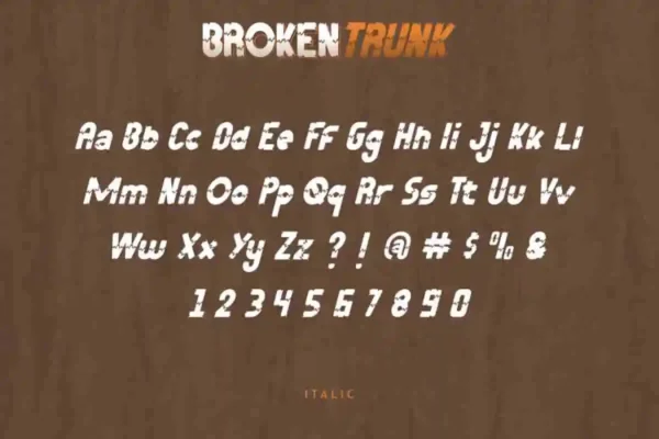 Broken Display Trunk Font - Image 4