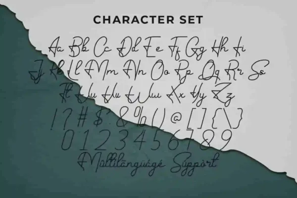 Hand Signature Font - Image 7