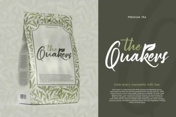 Perfect Bright Font - Image 2