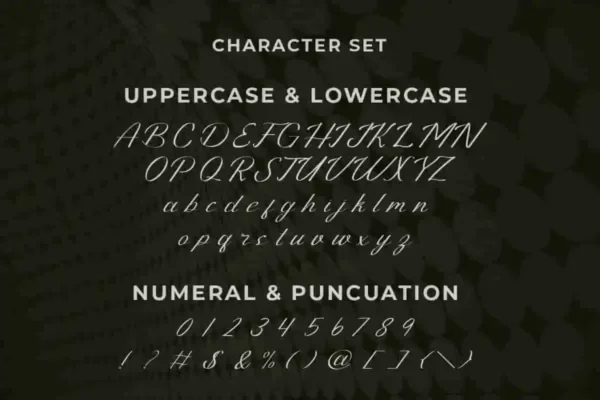 Preproduction Calligraphy Font - Image 6