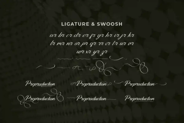 Preproduction Calligraphy Font - Image 4