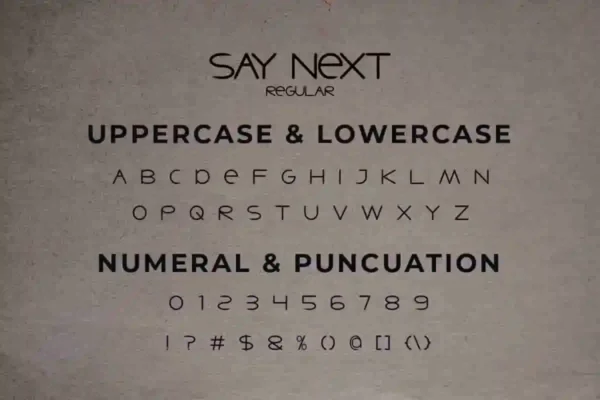Say Next Sans Serif Font - Image 3