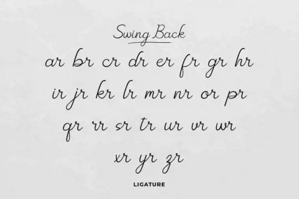 Swing Back Handwriting Font - Image 5