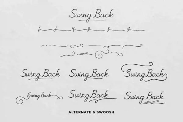 Swing Back Handwriting Font - Image 3