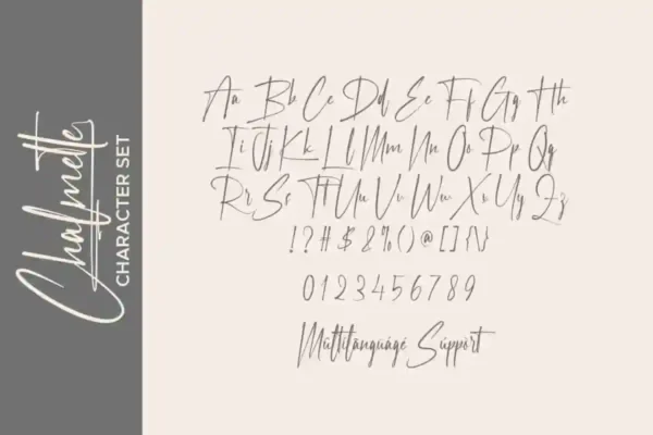 Chalmette Signature Font - Image 3