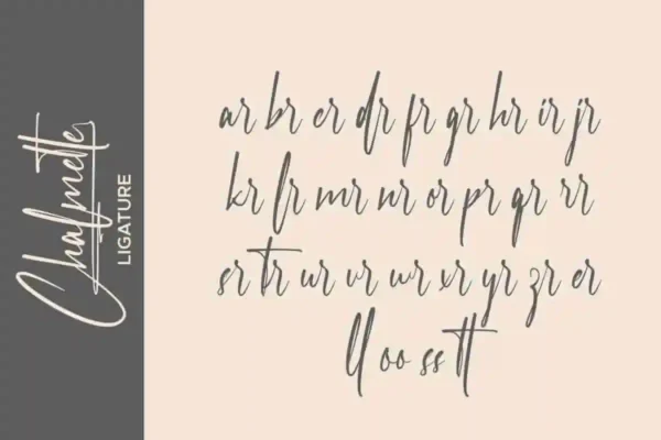 Chalmette Signature Font - Image 5