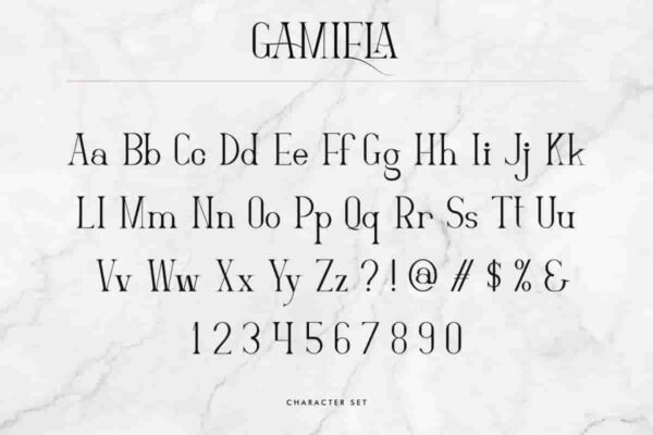 Gamiela Sans Serif Font - Image 3