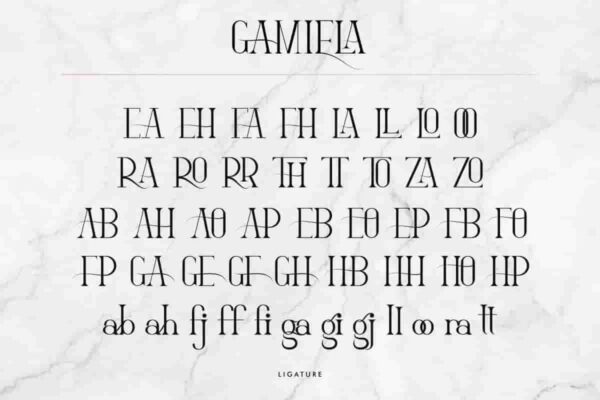 Gamiela Sans Serif Font - Image 7