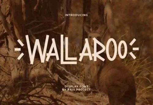 Wallaroo Display Font
