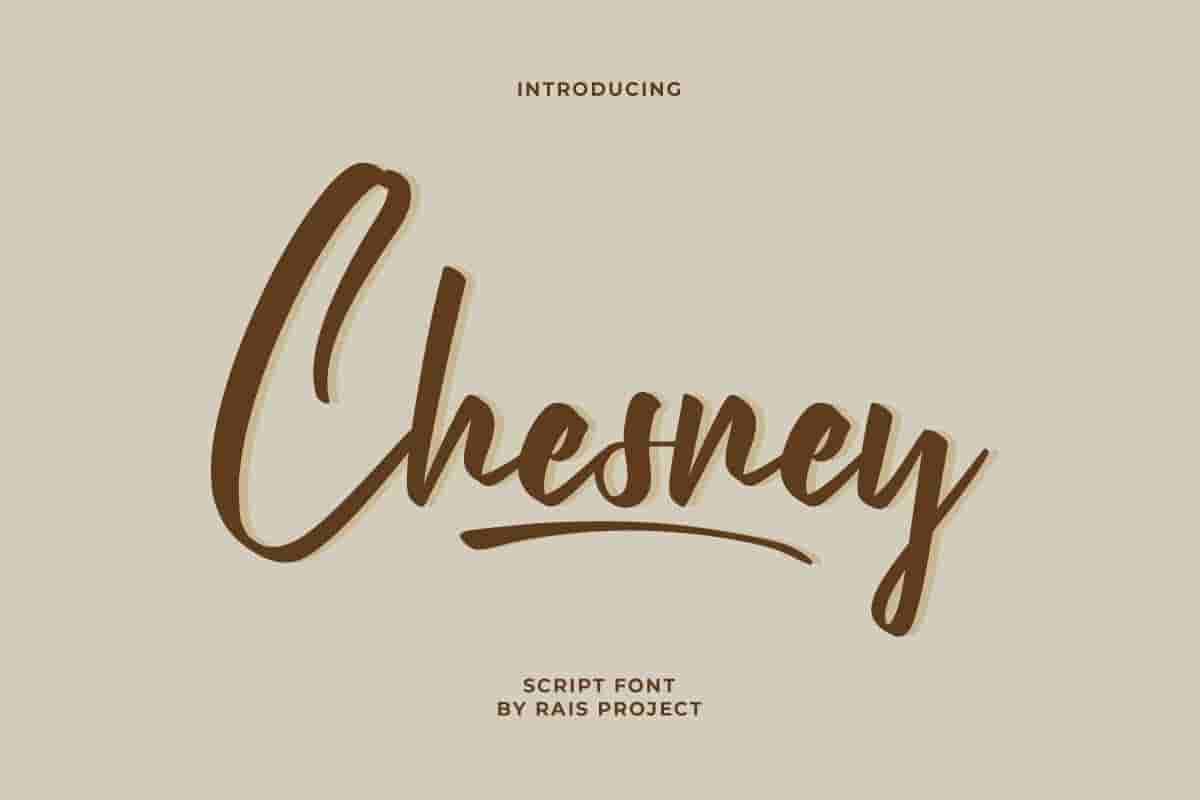 Chesney Calligraphy Font - Image 10