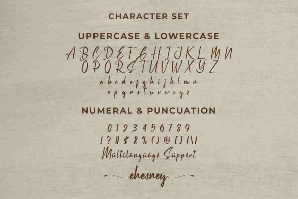 Chesney Calligraphy Font - Image 3