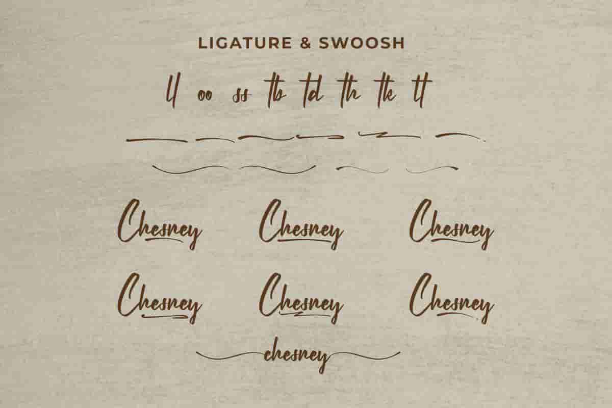 Chesney Calligraphy Font - Image 6