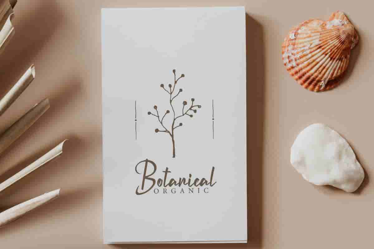 Chesney Calligraphy Font - Image 9