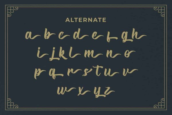 Vintagers Brush Font - Image 5