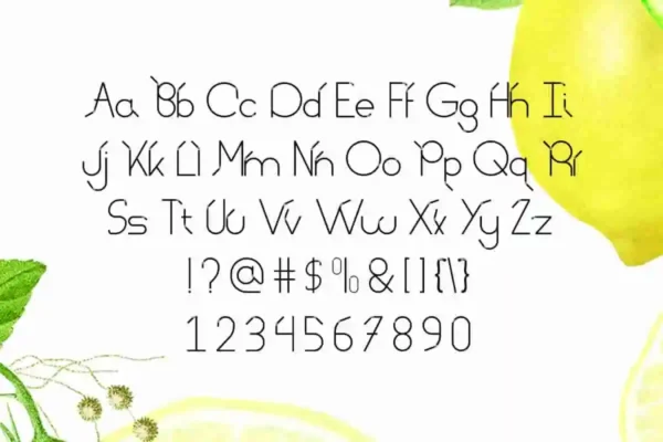 Lemon Straw Display Font - Image 11