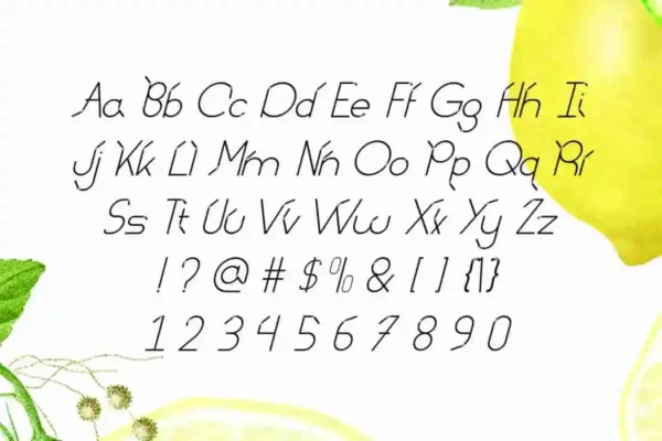 Lemon Straw Display Font - Image 9