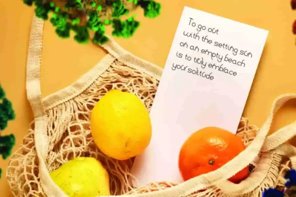 Lemon Straw Display Font - Image 6