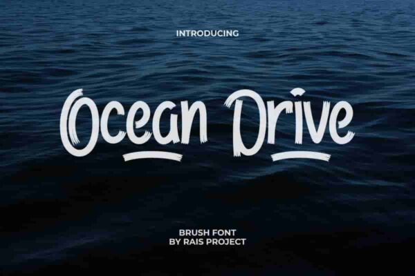 Ocean Drive Brush Font - Image 3