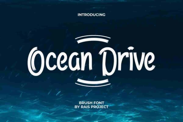 Ocean Drive Brush Font - Image 2