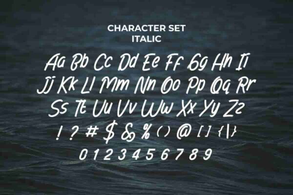 Ocean Drive Brush Font - Image 9