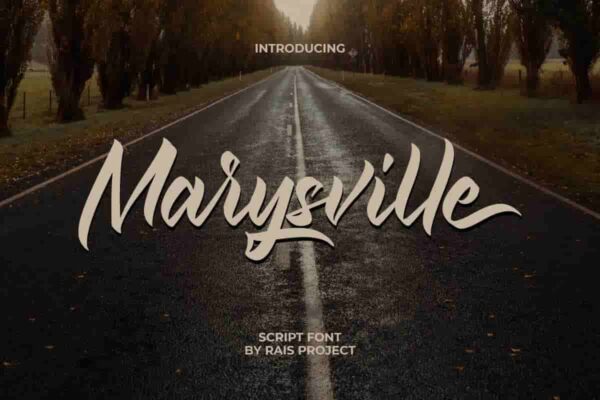Marysville Signature Font - Image 9