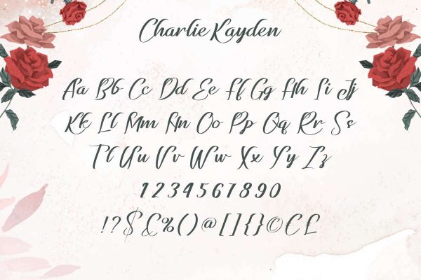 Charlie Kayden Font - Image 3