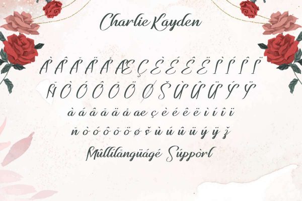 Charlie Kayden Font - Image 6