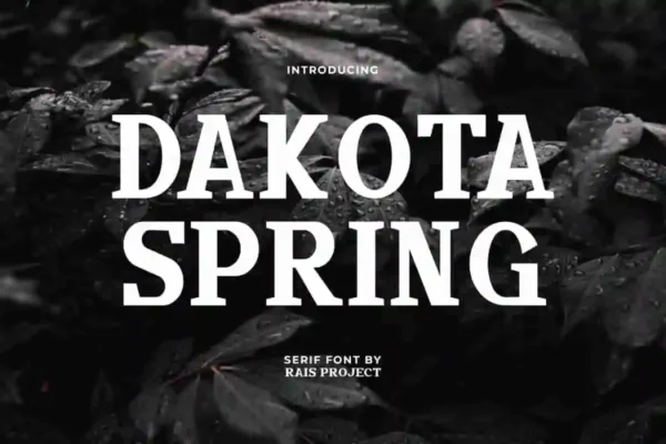 Dakota Spring Font - Image 11