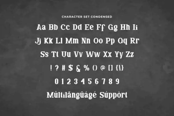 Dakota Spring Font - Image 7