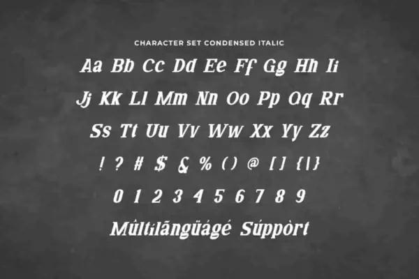 Dakota Spring Font - Image 9