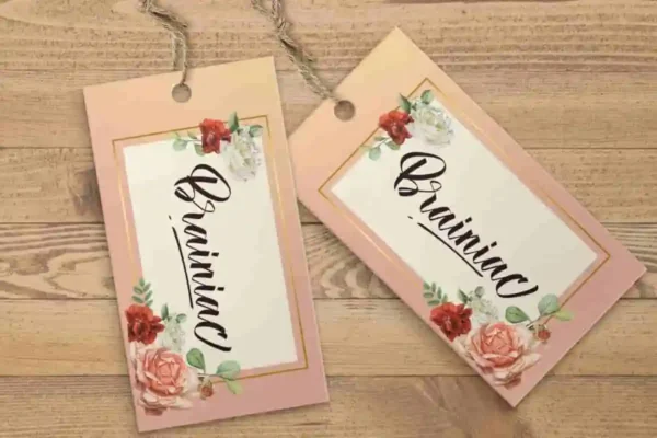 Brainiac Calligraphy Font - Image 4