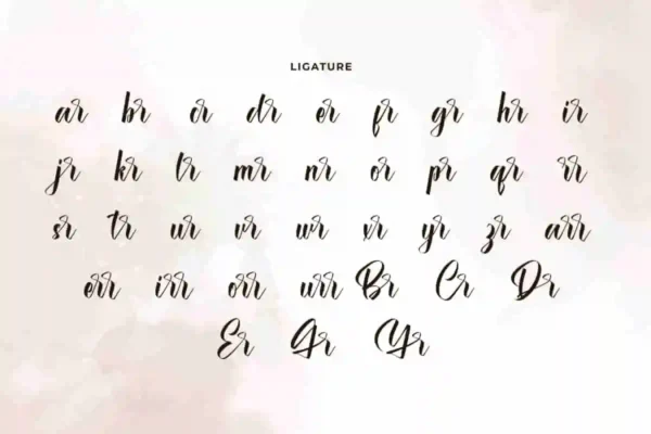 Brainiac Calligraphy Font - Image 5