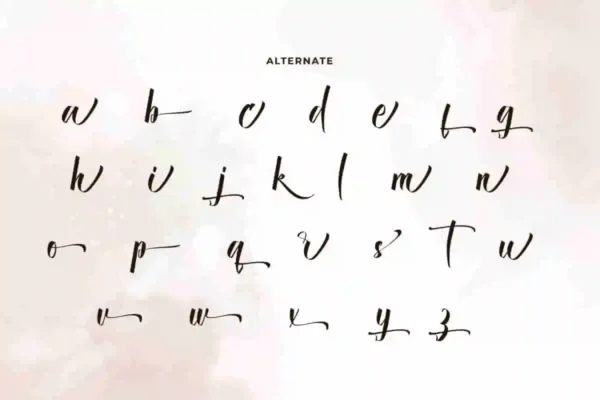 Brainiac Calligraphy Font - Image 7