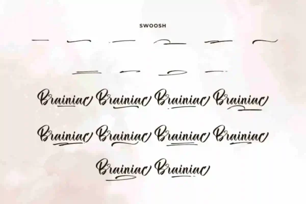 Brainiac Calligraphy Font - Image 9