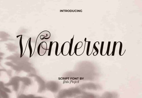 Wondersun Font Display