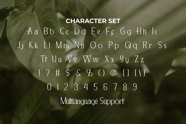 Casaba Melon Font - Image 5